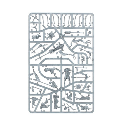Warhammer Age of Sigmar: Cities of Sigmar - Freeguild Fusiliers - 11ct product image 5