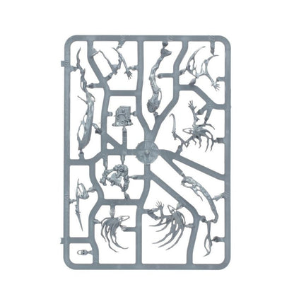 Warhammer Age of Sigmar: Nighthaunt - Spirit Hosts - 3ct product image 6