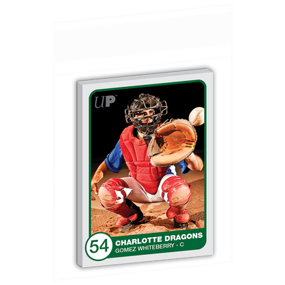 Ultra PRO Resealable Team Bags (100 Count) — example card in a resealable team bag; card not included